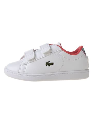 Lacoste Sneakers "Carnaby Evo" in Weiß