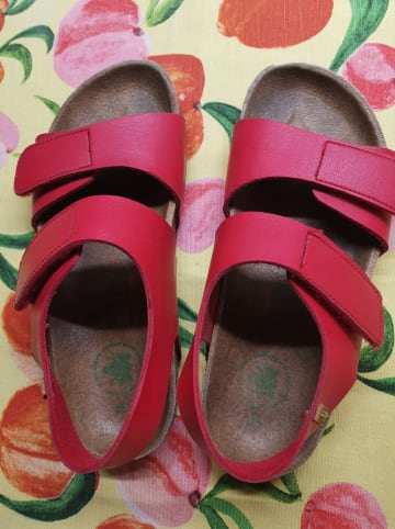 El Naturalista Sandalen in Rot