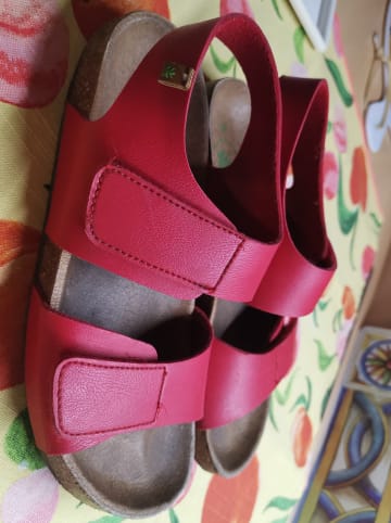 El Naturalista Sandalen in Rot