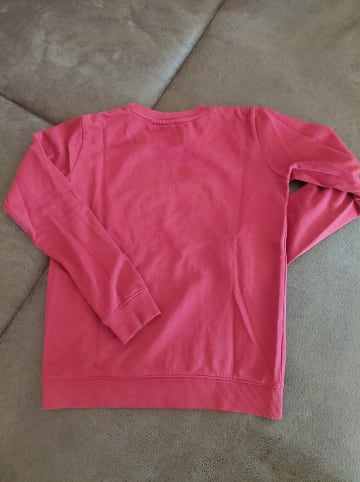The NEW Sweatshirt "Daffodil" in Bordeaux