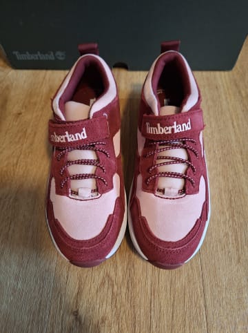 Timberland Leder-Sneakers "Bramber Lace" in Rot/ Rosa - Weite M