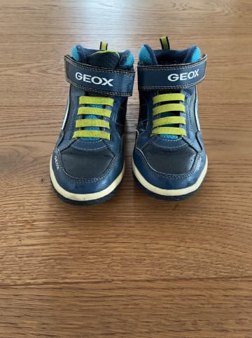 Geox Sneakers "Inek" in Dunkleblau/ Grün