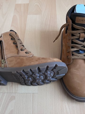 Geox Boots in Hellbraun