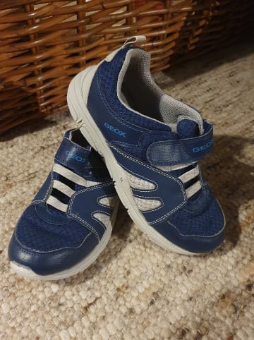 Geox Sneakers "Torque" in Blau