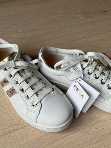 Geox Leder-Sneakers in Weiß