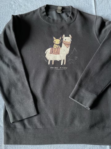 WOOOP Sweatshirt "Machu Pichu" in Dunkelblau