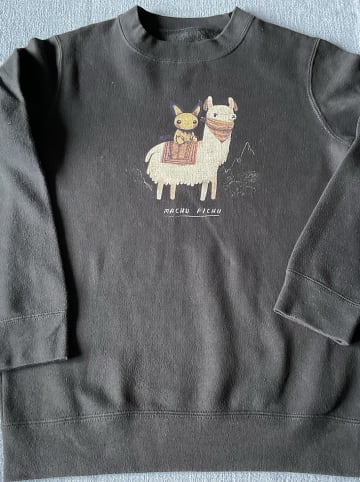 WOOOP Sweatshirt "Machu Pichu" in Dunkelblau