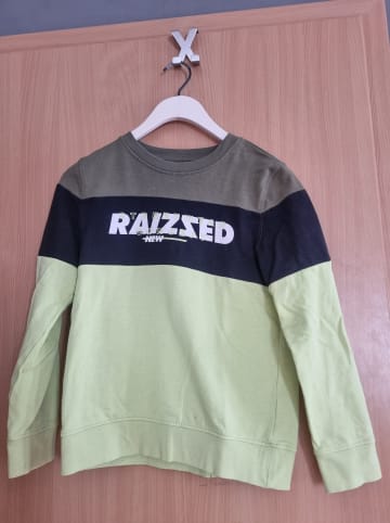 RAIZZED® Sweatshirt "Morgan" in Grün