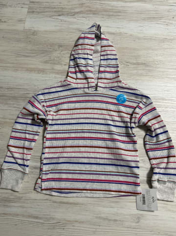 carter's Hoodie in Grau/ Blau/ Rot