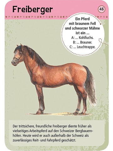 moses. Kartenset "50 Pferde & Ponys" - ab 6 Jahren