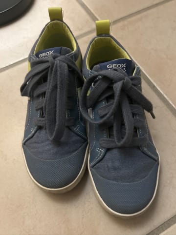 Geox Sneakers "Kiwi" in Graublau/ Gelb