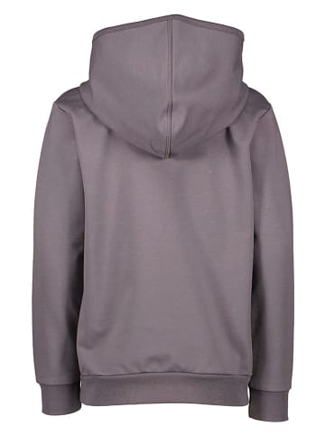 lamino Hoodie in Grau