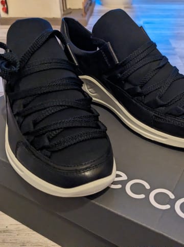 Ecco Sneakers in Schwarz