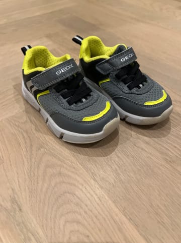 Geox Geox Sneakers grau / grün