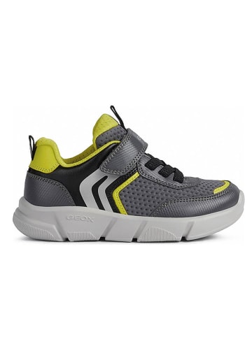 Geox Geox Sneakers grau / grün