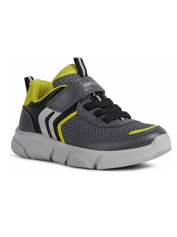 Geox Geox Sneakers grau / grün