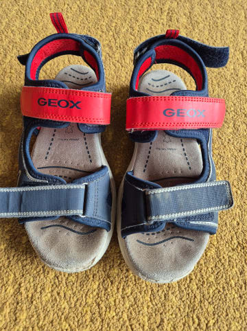 Geox Sandalen "Splush" in Dunkelblau