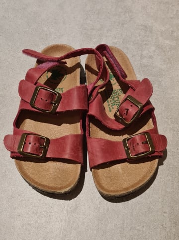 El Naturalista Leder-Sandalen in Fuchsia