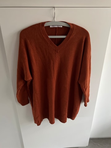 Plus Size Company Pullover in Hellbraun