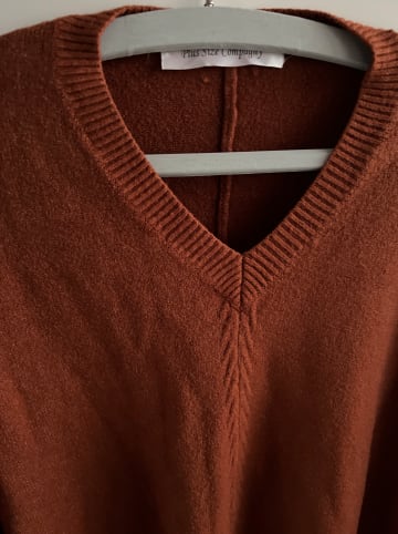 Plus Size Company Pullover in Hellbraun