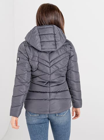 Dare 2b Steppjacke "Reputable" in Grau