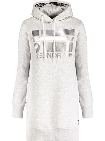 Geographical Norway Hoodie "Fabienne" in Hellgrau