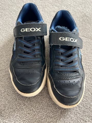 Geox Sneakers "Perth" in Dunkelblau