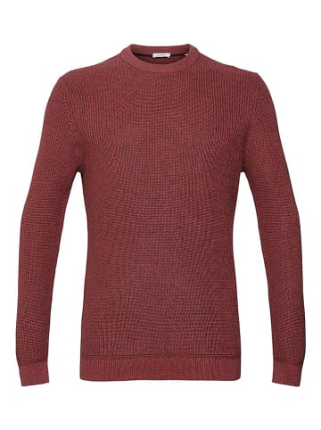 ESPRIT Pullover in Bordeaux