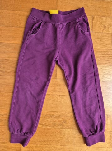 Steiff Sweathose in aubergine lila Steiff 104