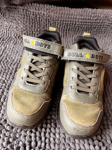 Bull Boys Sneakers in Khaki