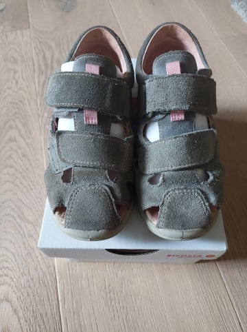 PEPINO Leder-Sandalen "Kansi" in Hellgrau