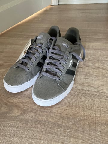 adidas Sneakers "Daily 3.0" in Grau