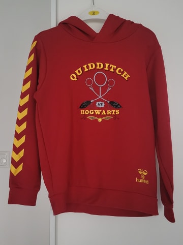 Hummel Hoodie Hmlharry Potter Cuatro Hoodie in SCARLET SAGE
