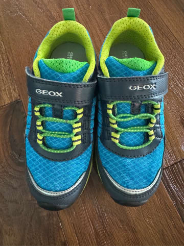 Geox Sneakers "Magnetar" in Blau/ Grün