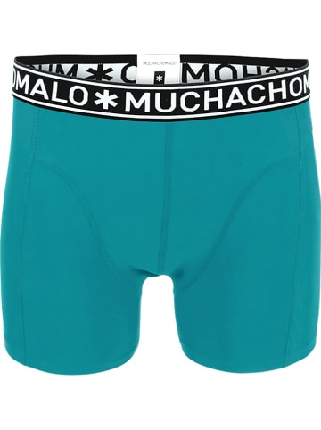 Muchachomalo Badehose in Türkis