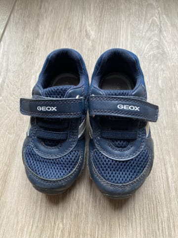 Geox Sneakers "Pavlis" in Dunkelblau/ Weiß