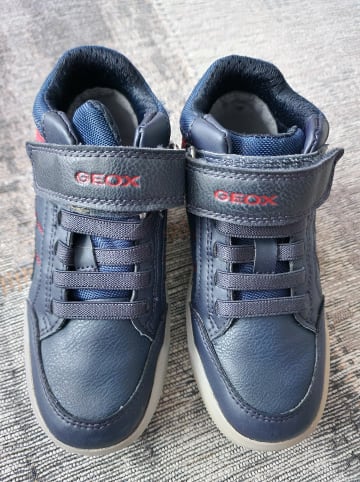 Geox Sneakers in Dunkelblau/ Rot