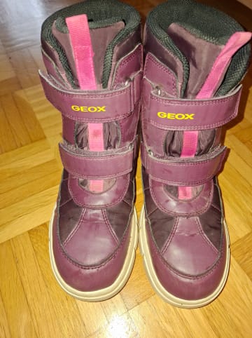 Geox Winterboots "Willaboom" in Lila
