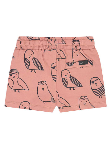 Babyface Shorts in Rosa