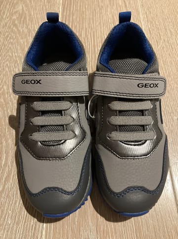 Geox Sneakers "Pavel" in Grau