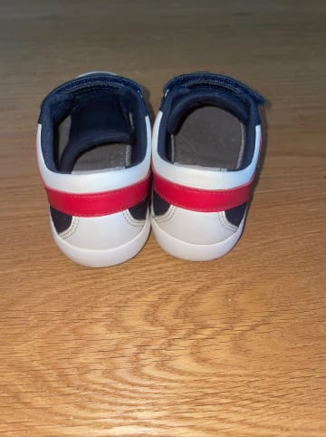 Geox Sneakers "Gisli" in Dunkelblau