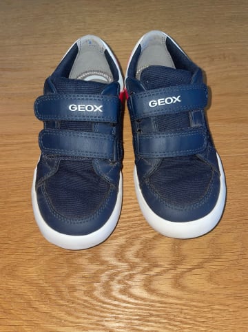 Geox Sneakers "Gisli" in Dunkelblau