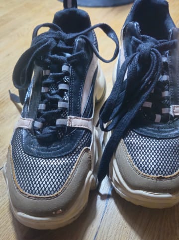 Steve Madden Sneakers "City Soul" in Beige/ Schwarz