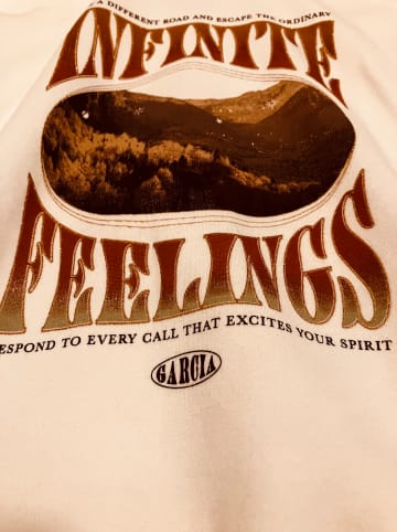 Rock Creek Garcia Hoodie Creme