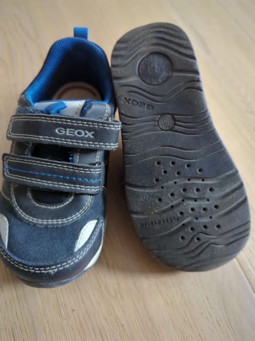 Geox Sneakers in Schwarz/ Blau