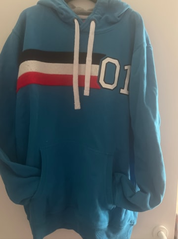 Derbe Sweatshirt in Blau