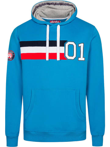 Derbe Sweatshirt in Blau