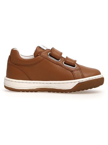 Naturino Leder-Sneakers "Minds" in Braun