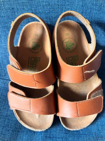 El Naturalista Sandalen in Cognac
