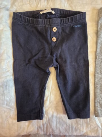 ESPRIT 2er-Set: Leggings in Grau/ Dunkelblau